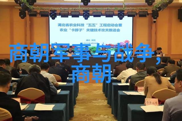 土木堡陷落后的一百年明朝北方边疆防御体系的衰落及其影响