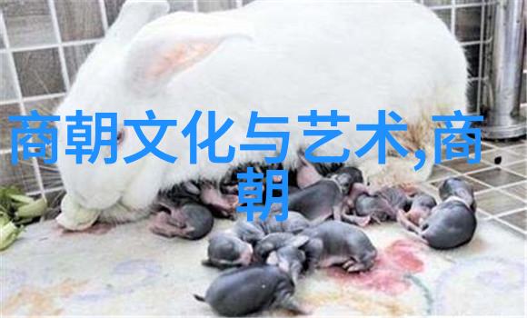 郑观应兵器专家