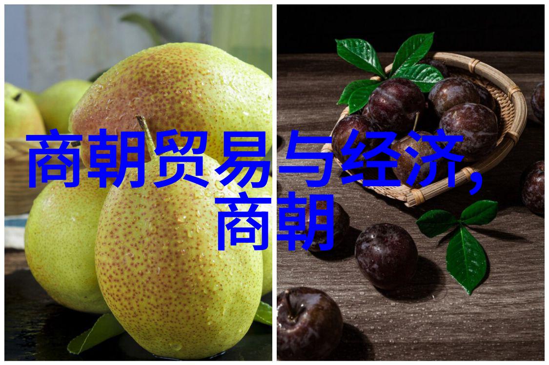 临沂羲之故里篆刻家商开栋收徒仪式震撼举行世界100位杰出名人齐聚共襄盛举