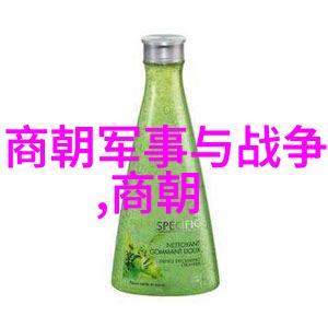 明朝辉煌历史纵横的画卷