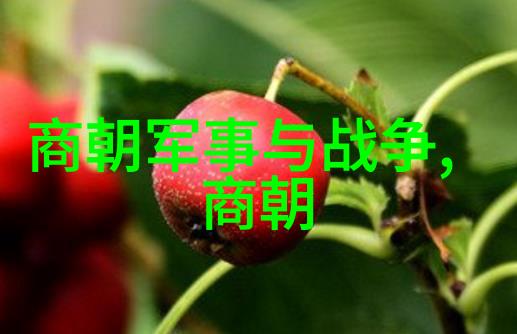 明朝名人隐秘录