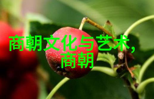 明朝真的很黑暗吗揭秘历史的另一面