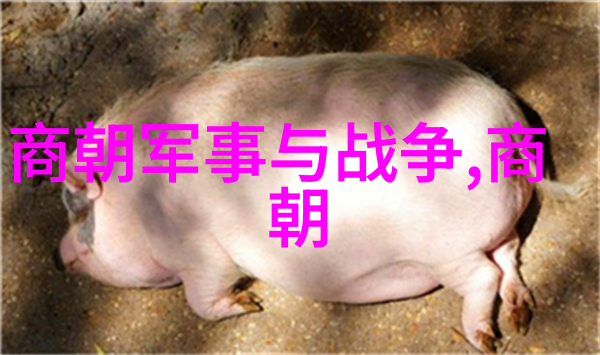 明朝明成祖下一位我是后来的人追忆明朝继承人的艰辛