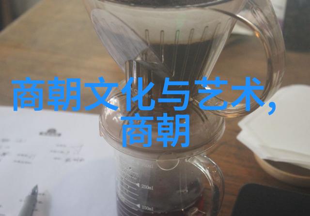千古纷争宋朝的双重篇章
