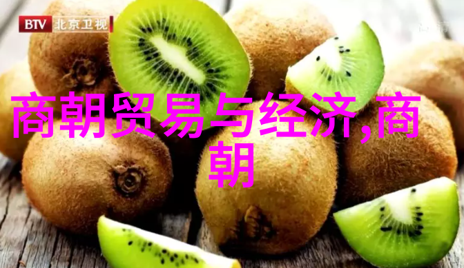 历经千秋中国朝代顺序的辉煌篇章