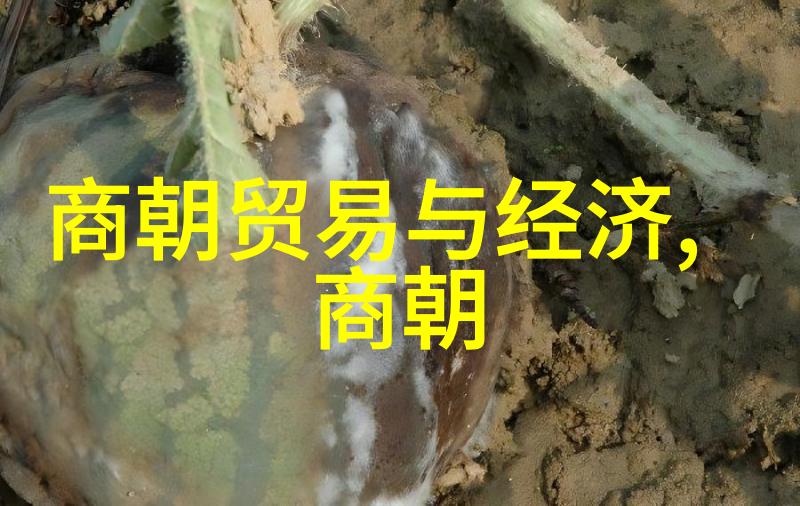明朝从什么时候开始衰退我看的明朝末日一场逐步消亡的悲剧