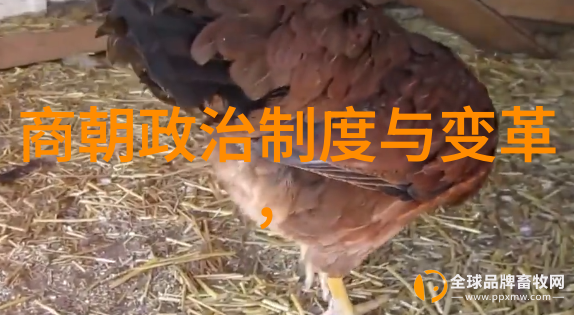为什么朱瞻基英年早逝人们总是这样怀念他