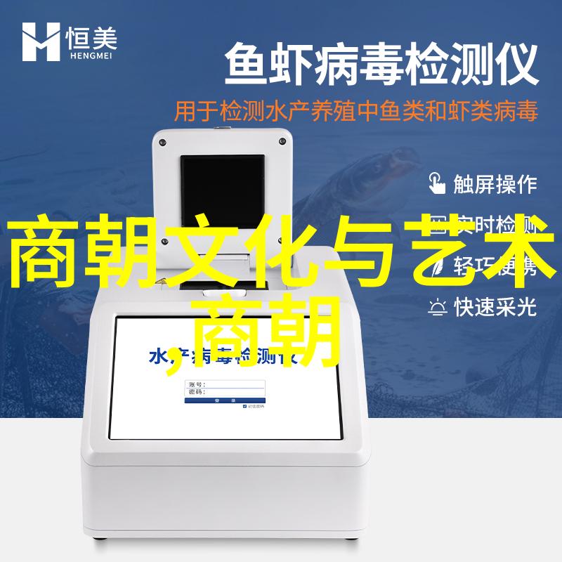 明朝时期历史-龙凤盛世明代的兴衰与文化遗产