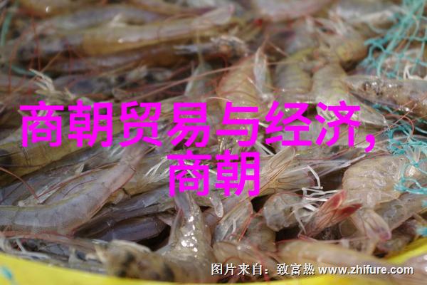明朝英宗朱祁镇无耻之极亦是人间至尊
