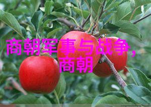 明朝三大猛人一位皇帝一位太监一位画家
