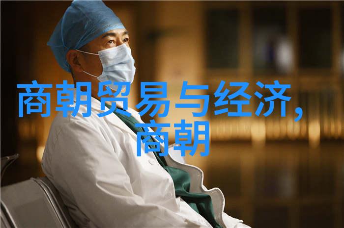 宋国历史盛世风华与衰落之旅