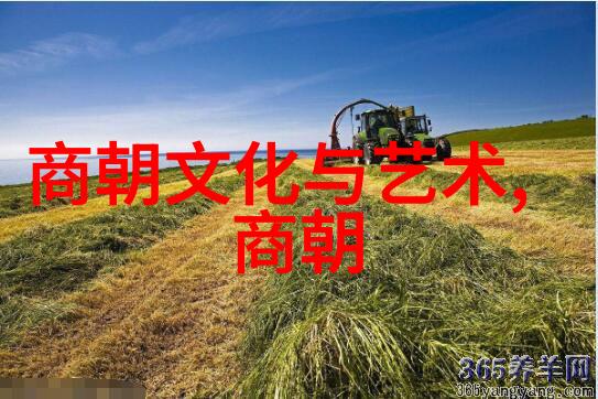 正直之脸京剧张派旦角赵群