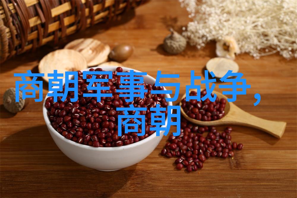 中国古代帝王的趣事穿越时空的奇遇