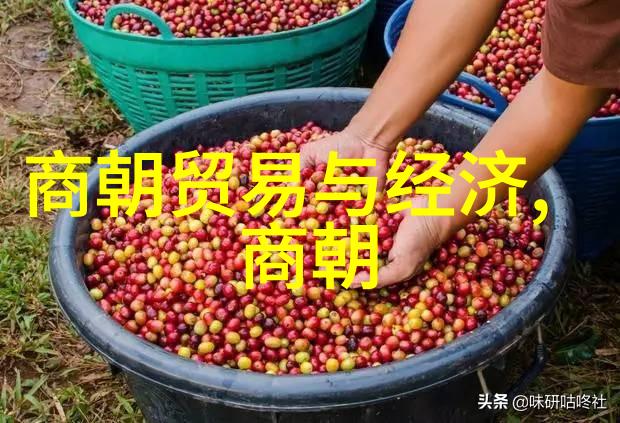 重庆与天津的视频艺术展览完整版第九集求索