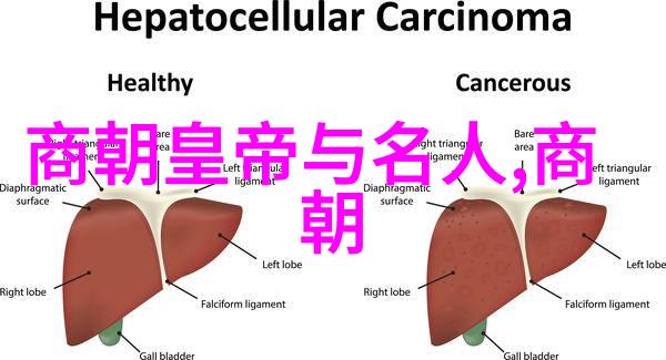 如何选择最佳的明朝历史读物