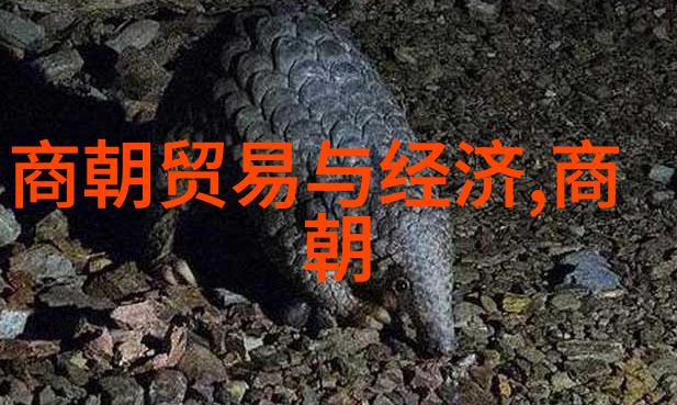 明朝三排名 - 明代将领之光毛文龙朱应庞与王直的英勇事迹