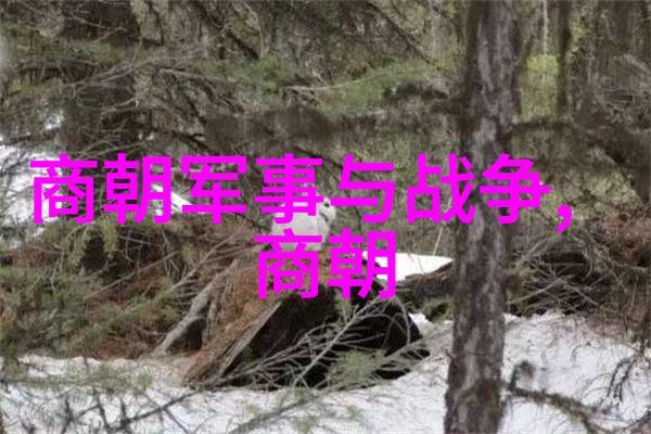 历史探究-朱元璋的独裁之路自私的皇帝与明朝的命运