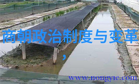 历史上的争议究竟是刘伯温还是李善长更能代表当时的一代英杰