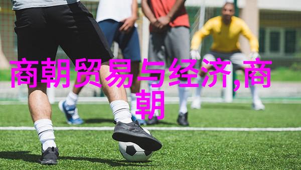 探索南宋与北宋历史遗韵梳理文献资料的足迹