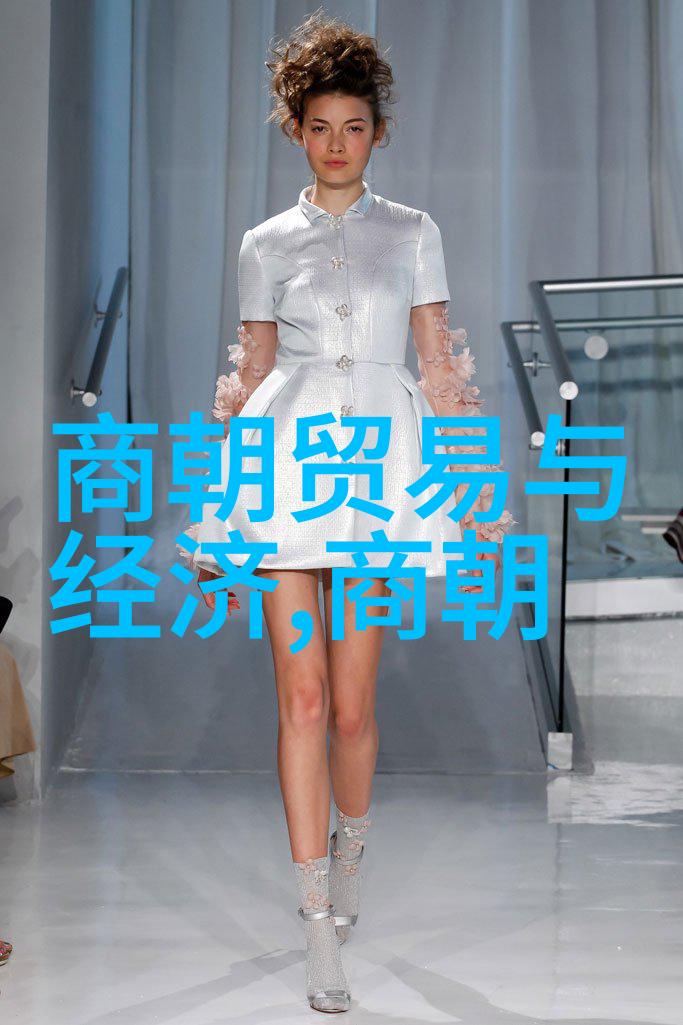 中国被禁的 - 禁闻禁书与禁词解读中国敏感信息管理