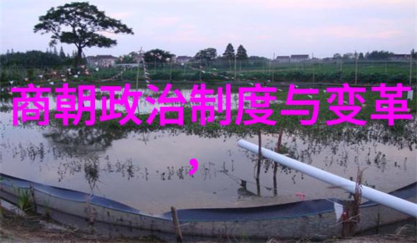 经典豫剧100首赵兵伟豫剧票友的魅力之声