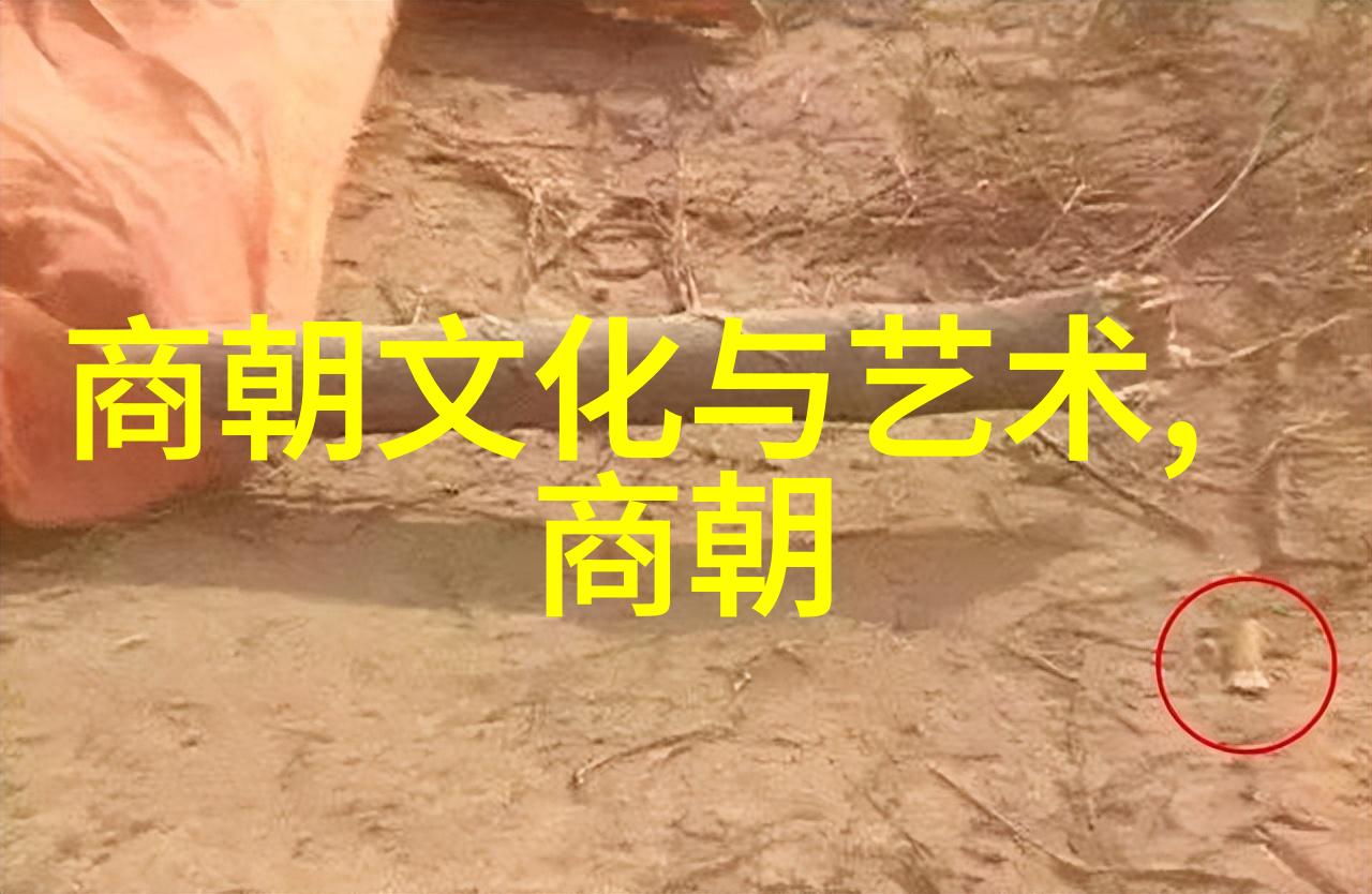 明朝的兴衰与变迁历代帝王与其治世之策