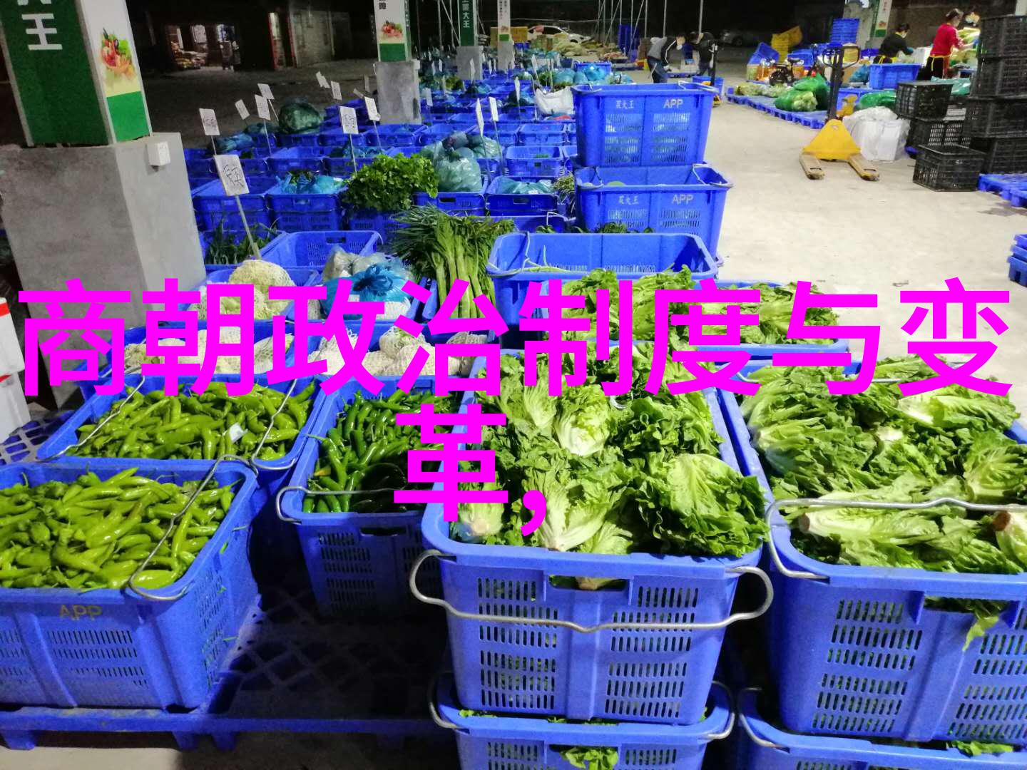 刘子翚的诗文全集作文素材人物事例探寻其文学世界吗