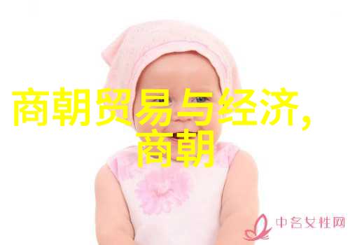 风云变幻中的中原王国重构中国历史上的多个朝代