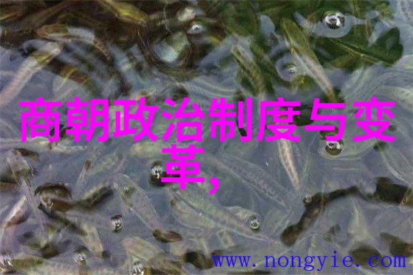 胜利前夕的绝境土木堡之变全军覆没