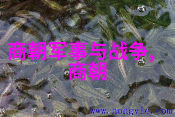 乾隆一生有100个女人乾隆皇的百美佳人背后的故事和秘密