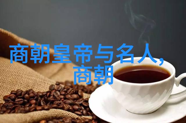 历史的朝代顺序排列穿越时空的谜题解析