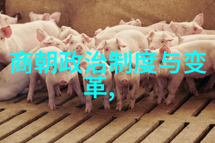 万历至崇祯年间的经济繁荣与地图上的反映
