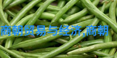 小学教科研工作总结报告吴青云主编