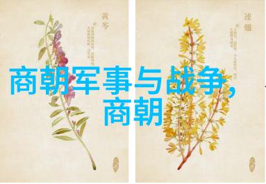 为啥朱祁镇叫大明战神-大明之翼揭秘朱祁镇的战略与勇气