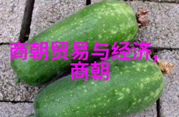赵淳生中国超声电机奠基人在石家庄教科研网的光芒中绘就传奇