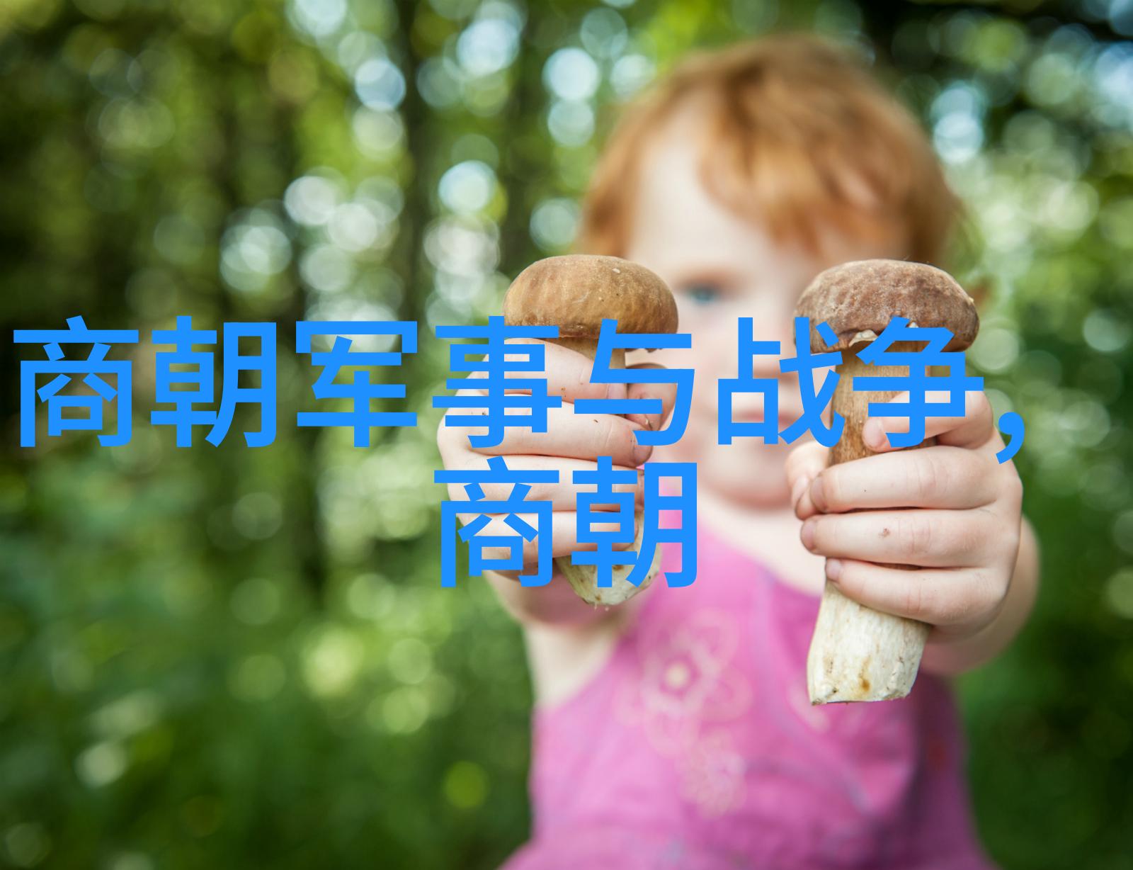 明朝血脉图穿越千年的荣耀与沉浮