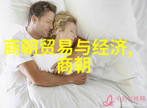 明朝历史 明朝朝代顺序及年号 历史的印记与时光的见证