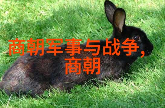 穿越虚拟世界赵青蔓的角色扮演奇遇