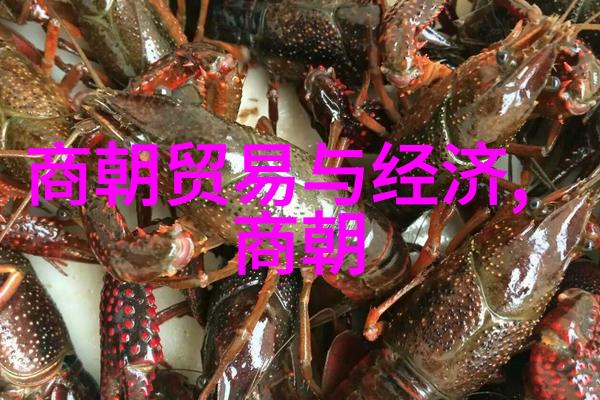 中国的悠久历史探秘揭开几千年的篇章