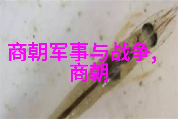 明朝台湾郑氏政权的兴衰与文化遗产