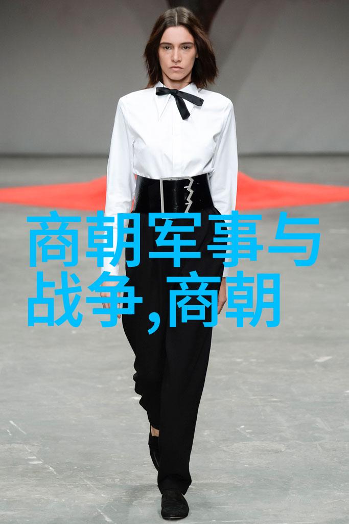 北周的帝位之变杨坚的登基之路