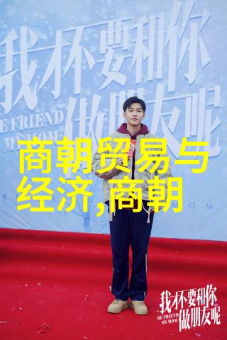 北周隋朝的辉煌北朝时期的重要政权