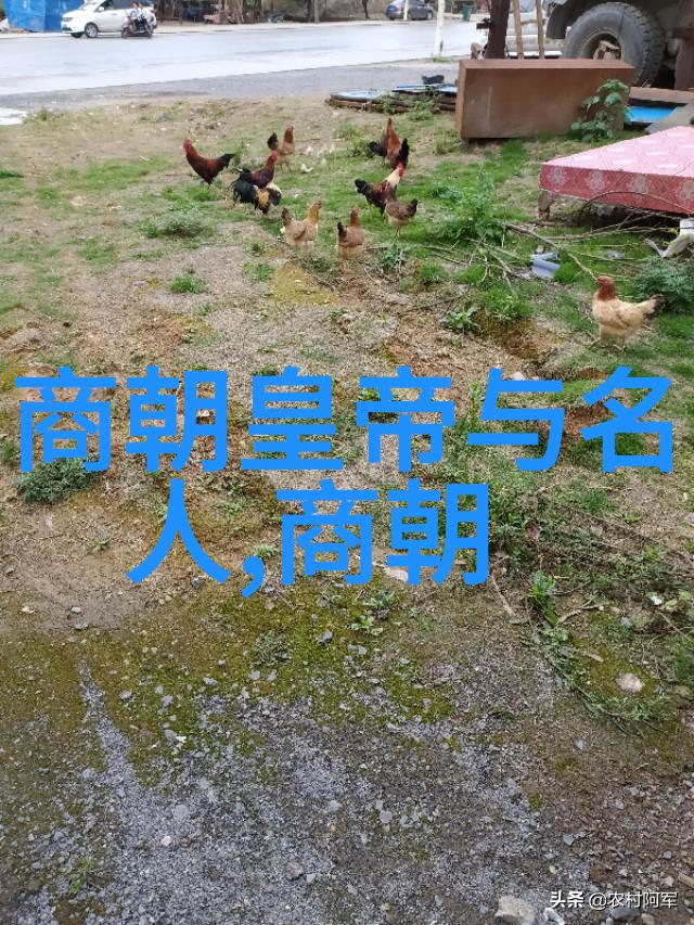 古今对话网络课程与传统教材的融合之道