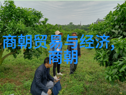 辽阳之战与忽必烈登基元朝历史上的两个转折点