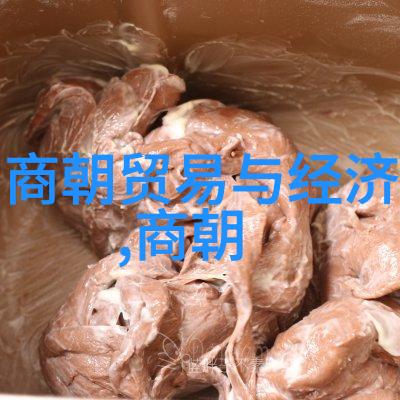 明朝历史用英语怎么翻译-Translating the History of the Ming Dy