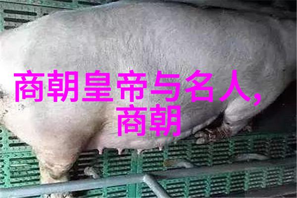 三国最惨烈死状数据揭秘猛将凄凉末日
