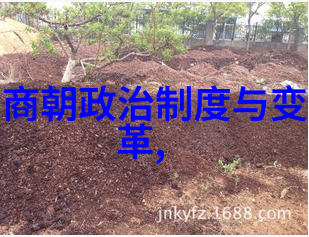 政经济文化一体推动下的清朝繁荣盛世乾隆时期概述