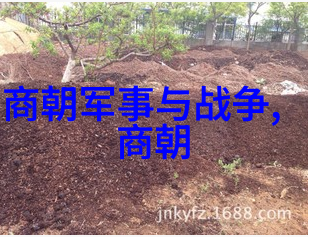 中国现代戏曲名家康静又是谁