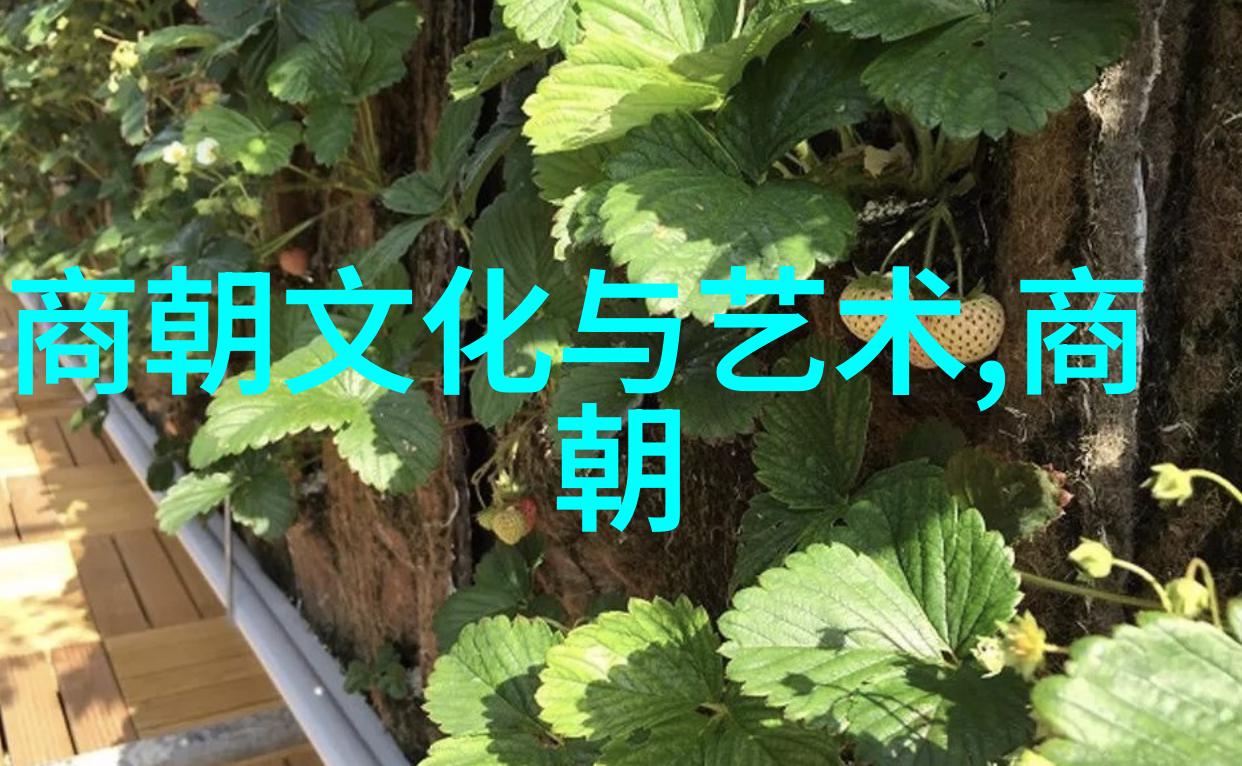 明朝雄心与韬略揭秘有骨气的背后