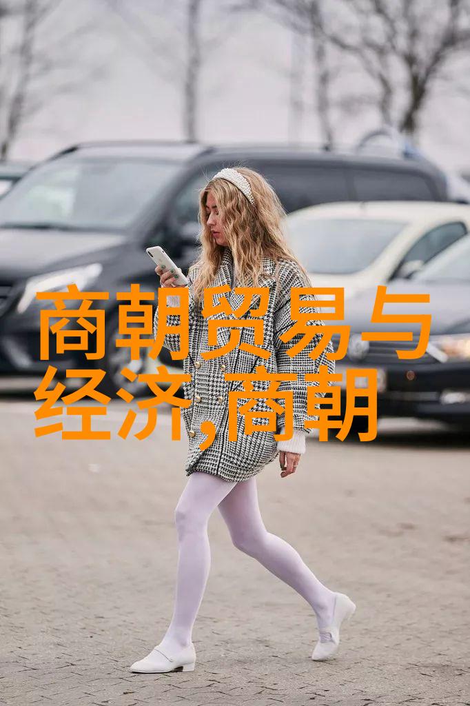 皇权衰弱从边疆防御到中央集权揭示元朝最后时刻的政治危机及其影响因素